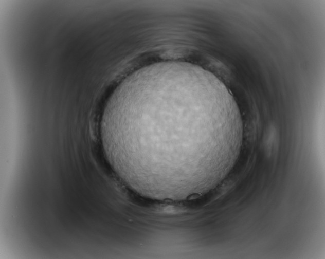 X0000084020755200703091948