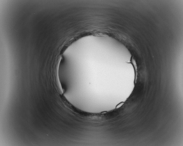 X0000084020756200703091948