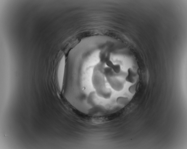 X0000084020757200703091948