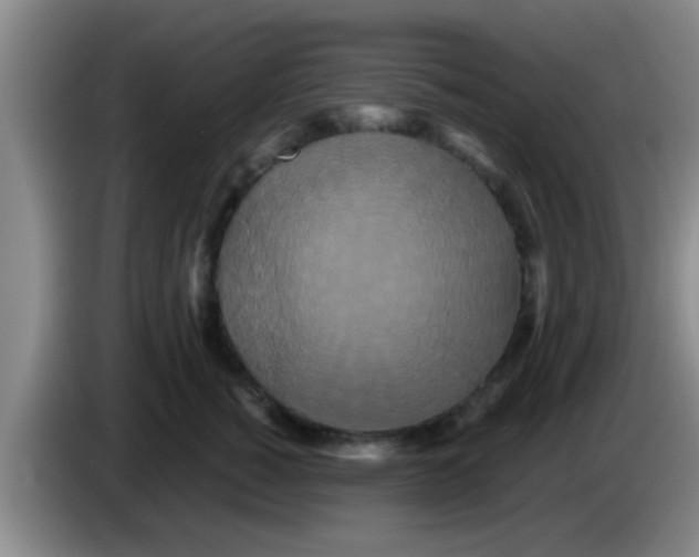 X0000084020760200703091948