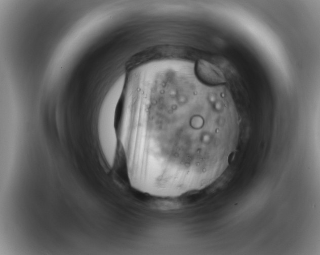 X0000084020765200703091948