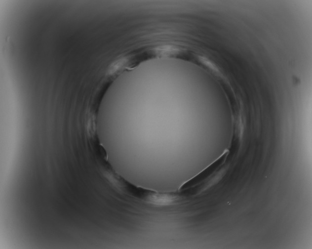 X0000084020766200703091948