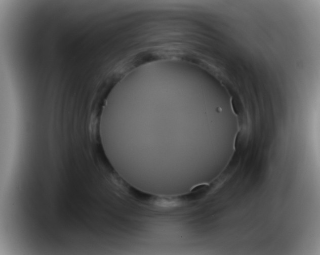 X0000084020767200703091948