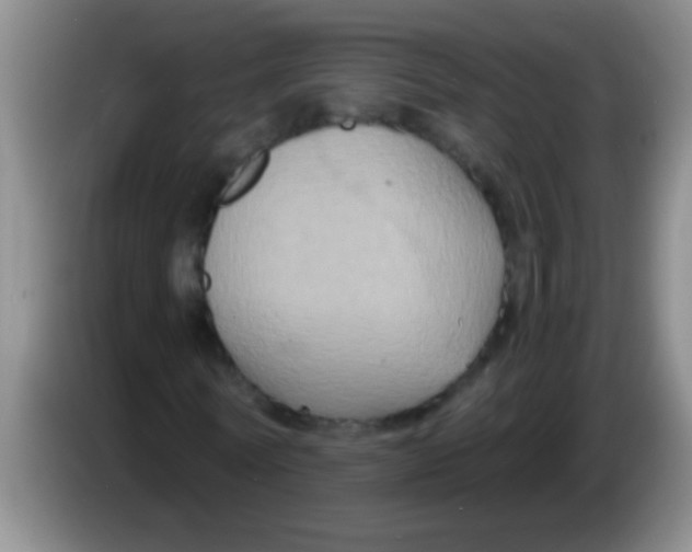 X0000084020770200703091947