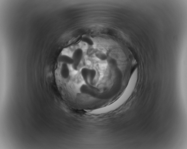 X0000084020771200703091947