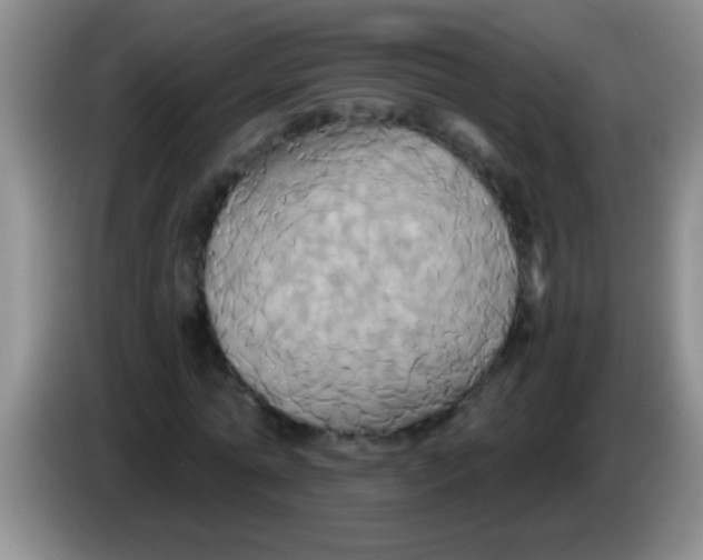 X0000084020774200703091947