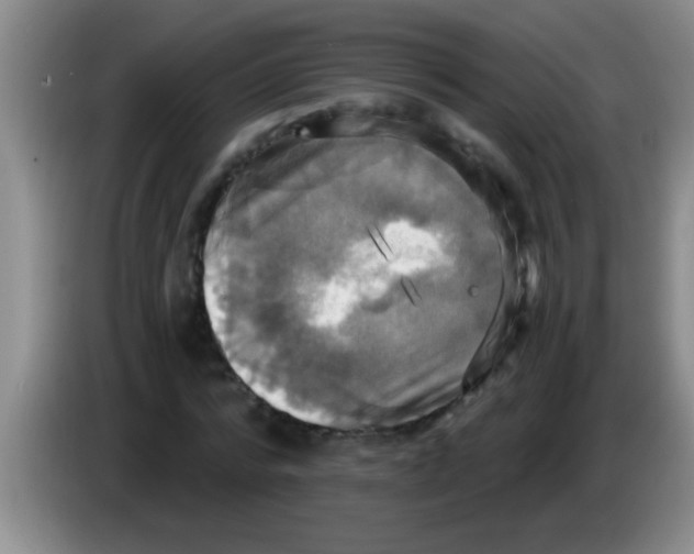 X0000084020776200703091947