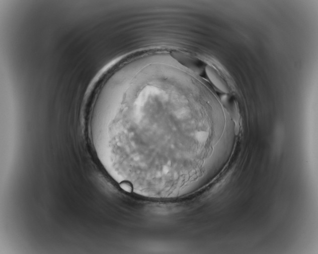 X0000084020780200703091947