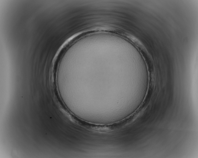 X0000084020784200703091947