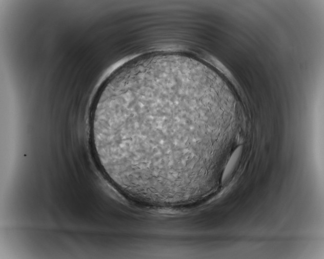 X0000084020787200703091947