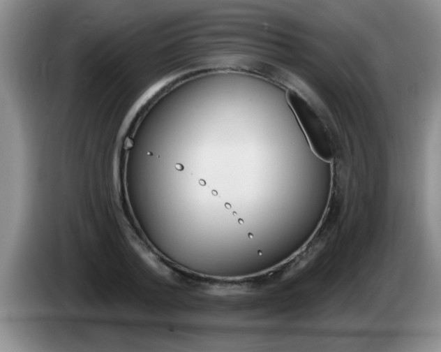 X0000084020788200703091947