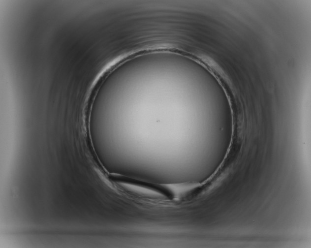 X0000084020789200703091947