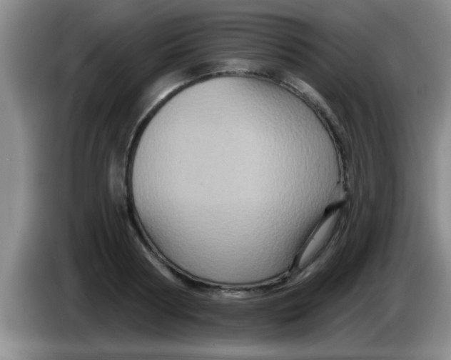 X0000084020794200703091947