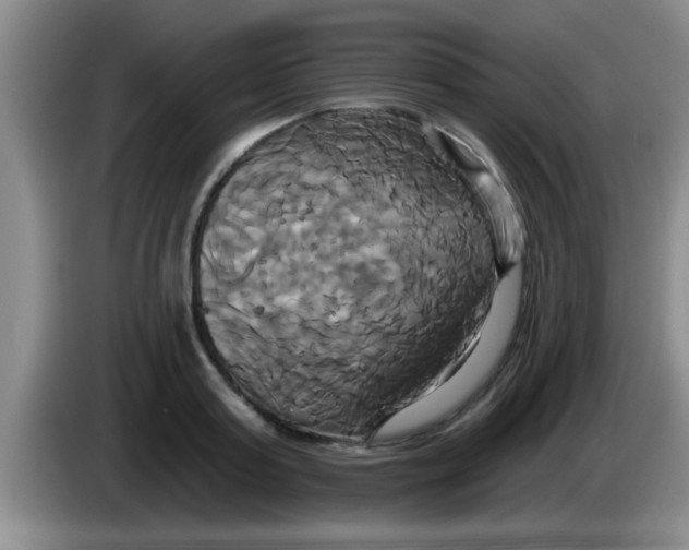 X0000084020795200703091947