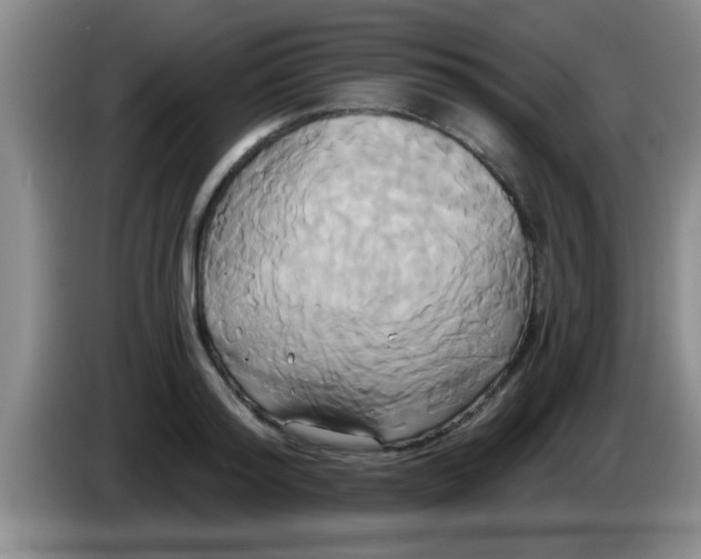 X0000084020796200703091947