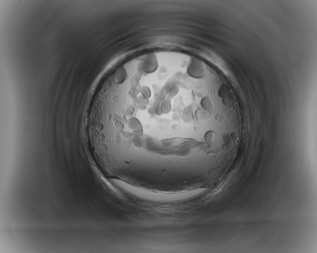 X0000084020799200703091947