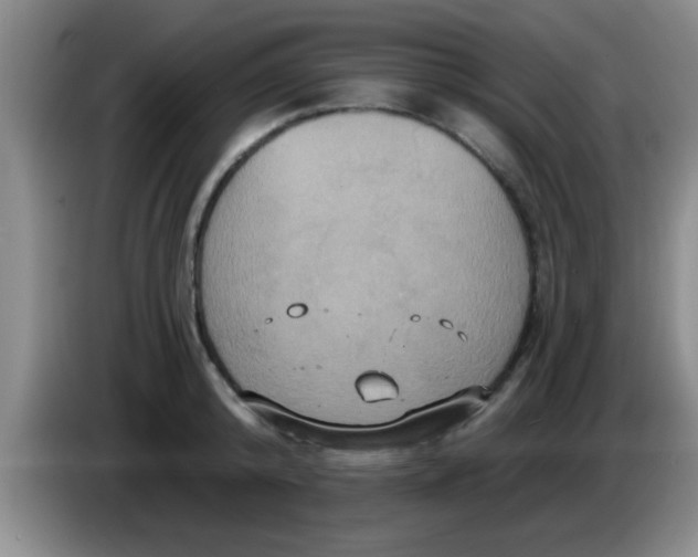 X0000084020800200703091947