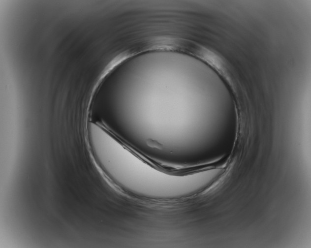 X0000084020802200703091947