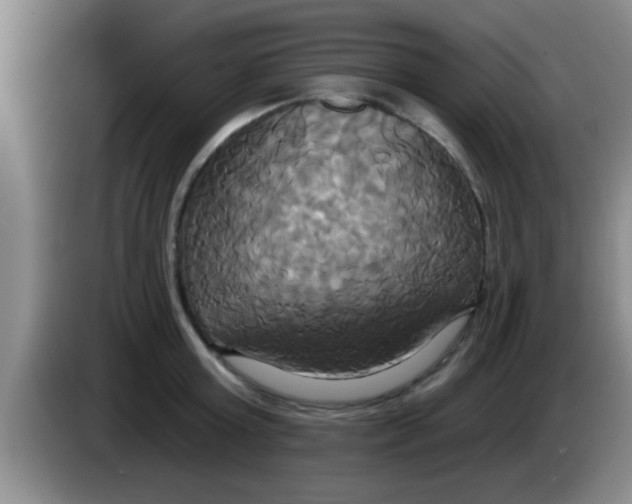 X0000084020803200703091947