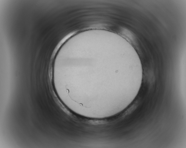 X0000084020804200703091947