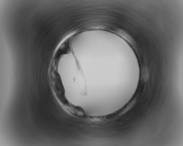 X0000084020806200703091947