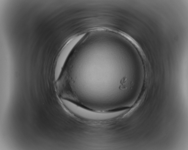 X0000084020809200703091947