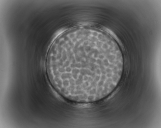 X0000084020810200703091947