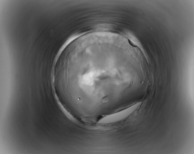 X0000084020811200703091947