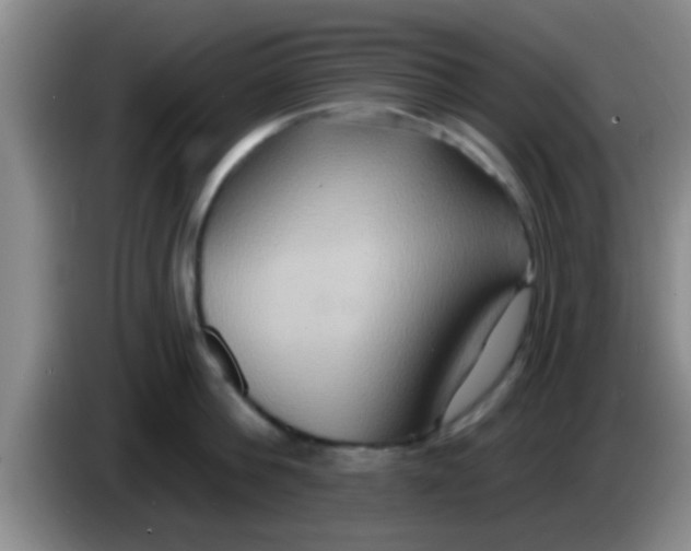 X0000084020812200703091947