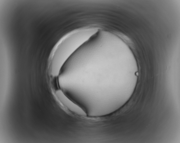 X0000084020816200703091946