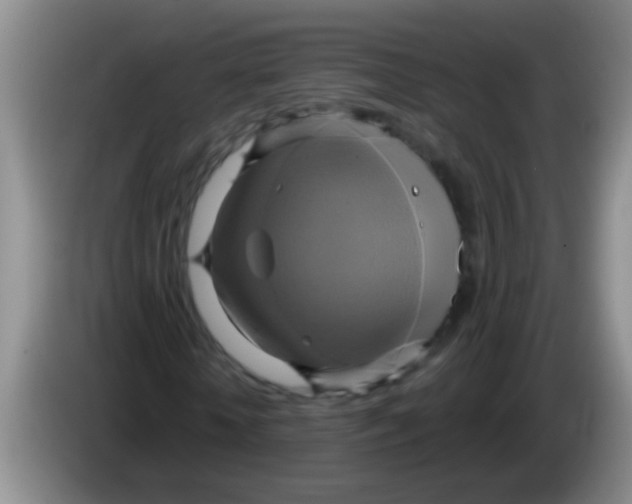 X0000084020818200703091946