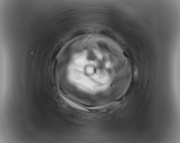 X0000084020819200703091946