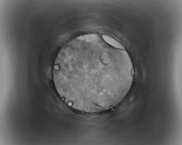 X0000084020820200703091946