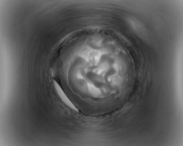 X0000084020821200703091946