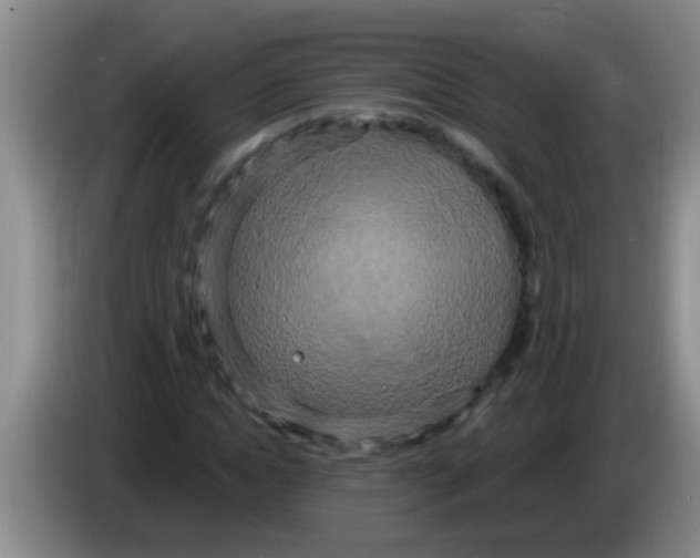 X0000084020822200703091946