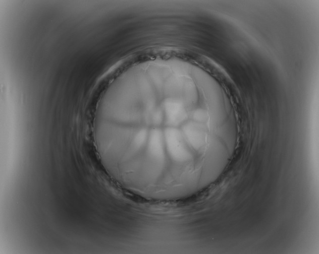 X0000084020823200703091946