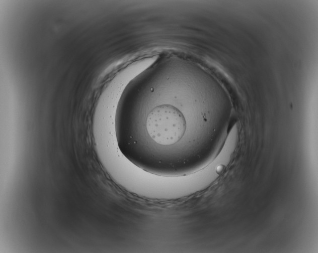 X0000084020824200703091946