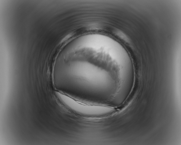 X0000084020825200703091946