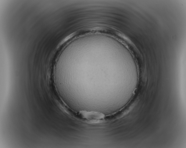 X0000084020826200703091946