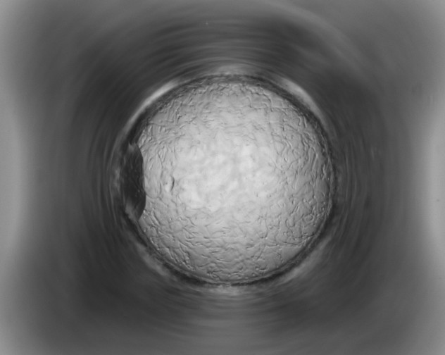 X0000084020827200703091946