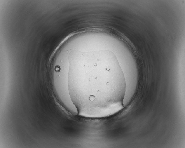 X0000084020828200703091946