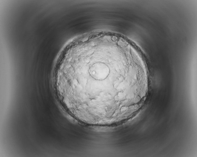 X0000084020832200703091946