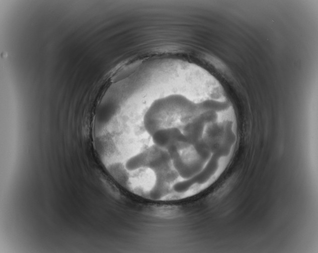 X0000084020833200703091946