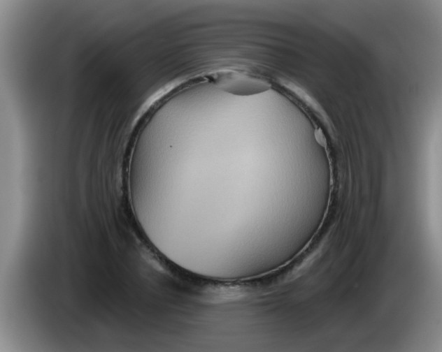 X0000084020834200703091946