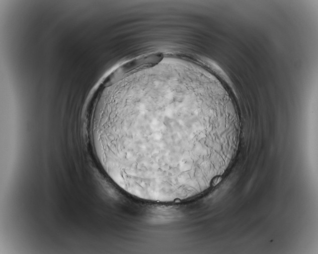 X0000084020835200703091946