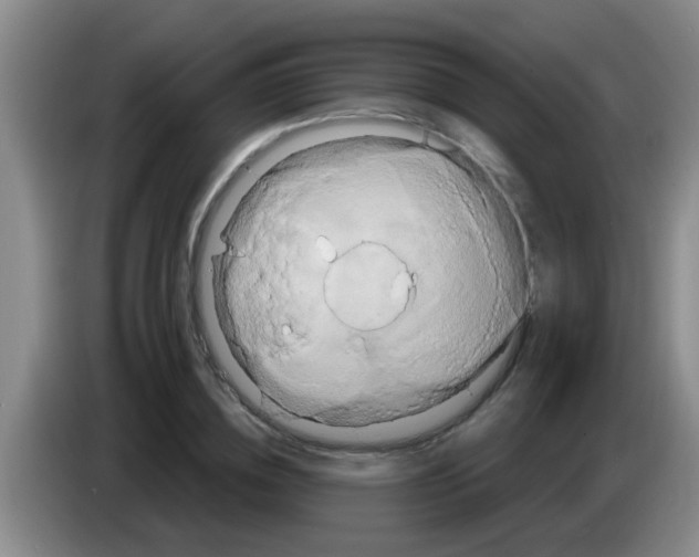 X0000084020836200703091946