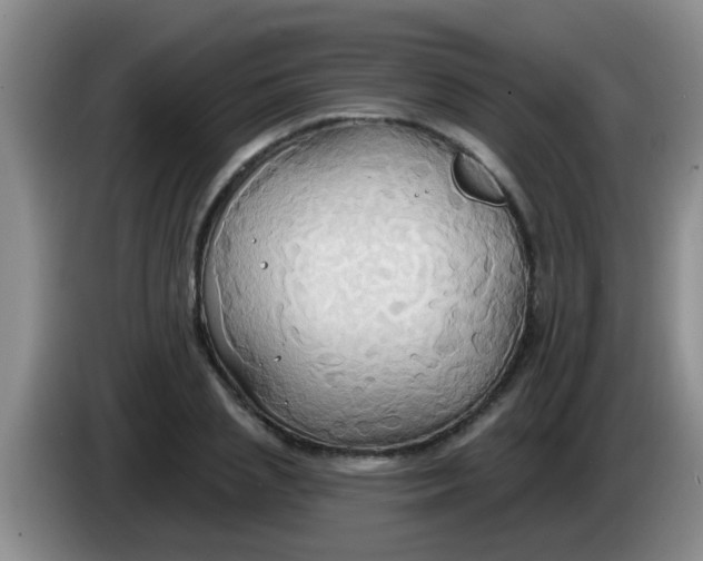 X0000084020837200703091946