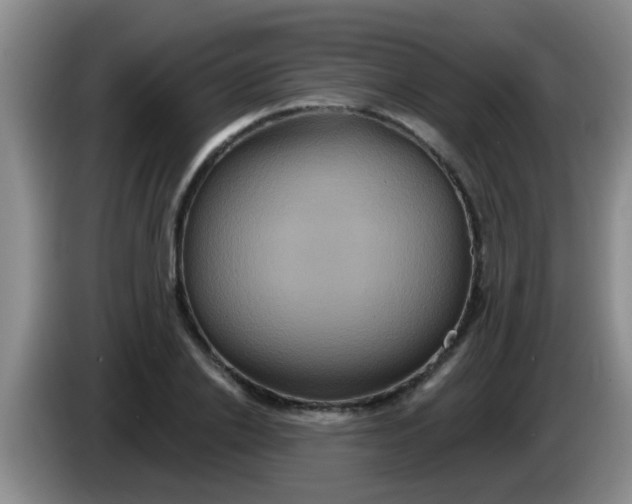 X0000084020838200703091946