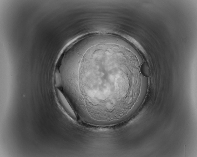 X0000084020839200703091946