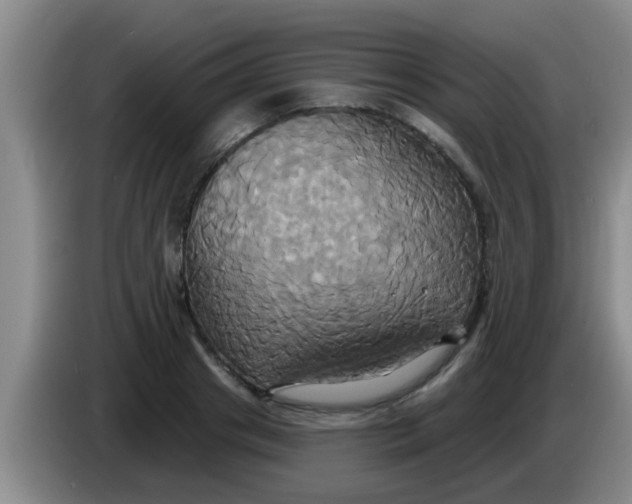 X0000084020841200703091946